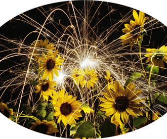 Flower Power<br>Titanium, Sunflowers<br>31 x 47